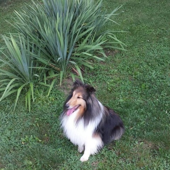 Meet your Posher, Cindy - Picture 1 of 1